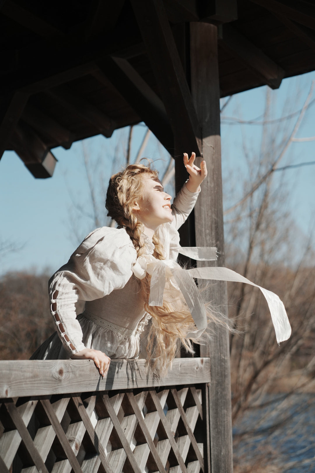 MARY 18 | VINTAGE LINEN DRESS GOWN